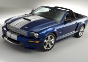 Shelby Shelby GT Convertible